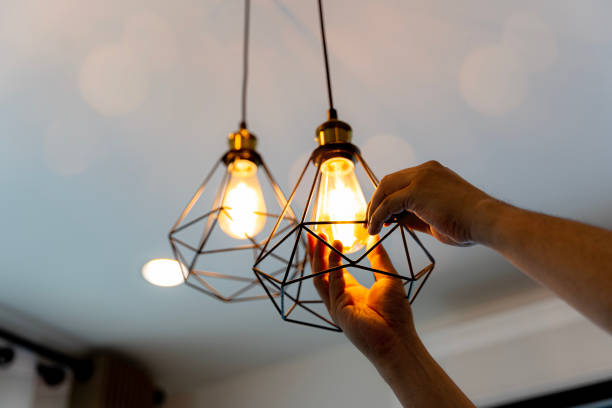 Best Electric Panel Repair  in Geneva, AL